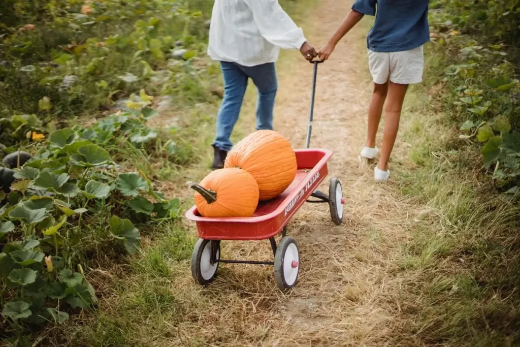 Bolderkar vol met kampeerspullen op een pad door de natuur